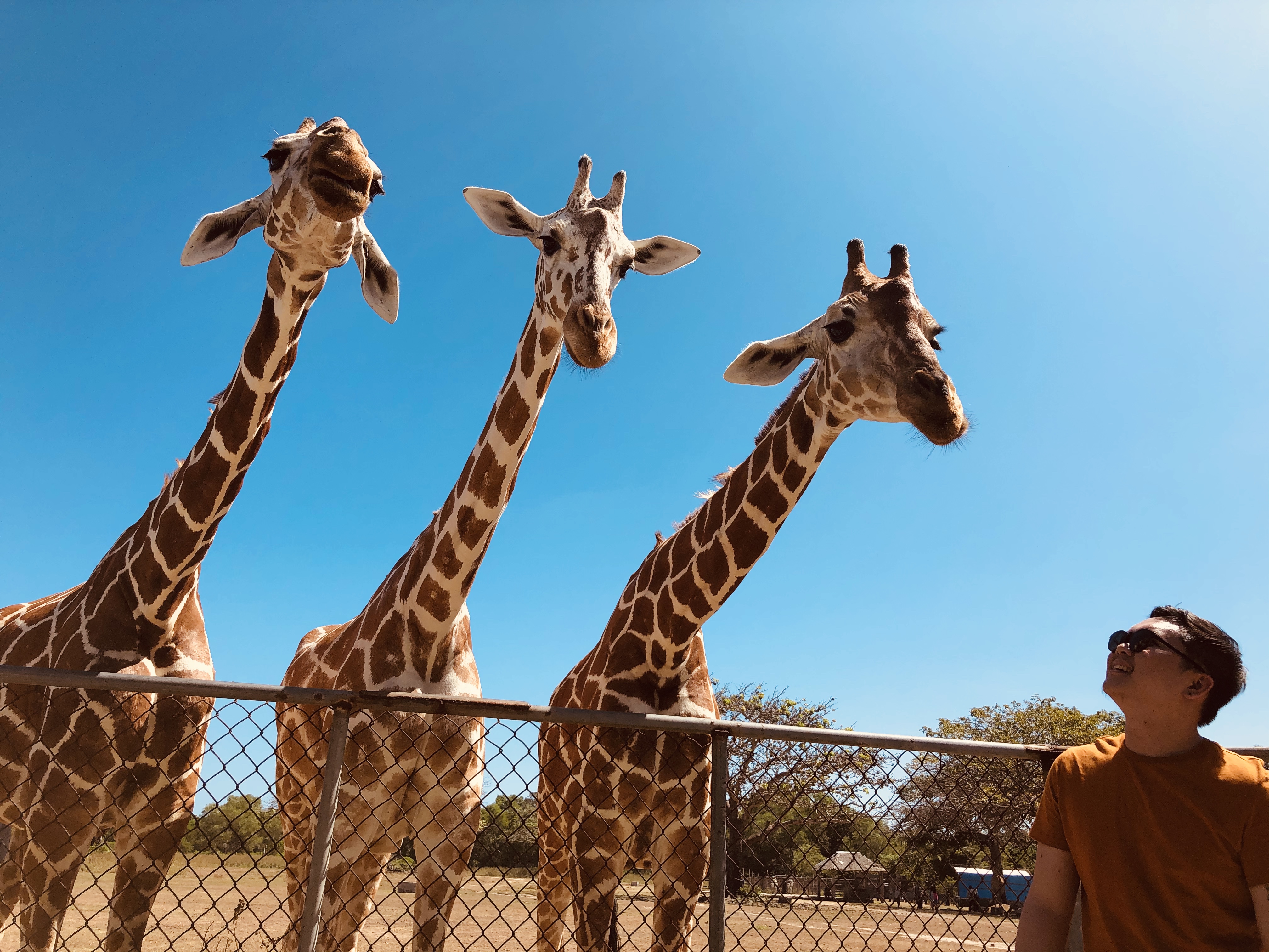 Homepage für Help Center „z3njmanitas German“